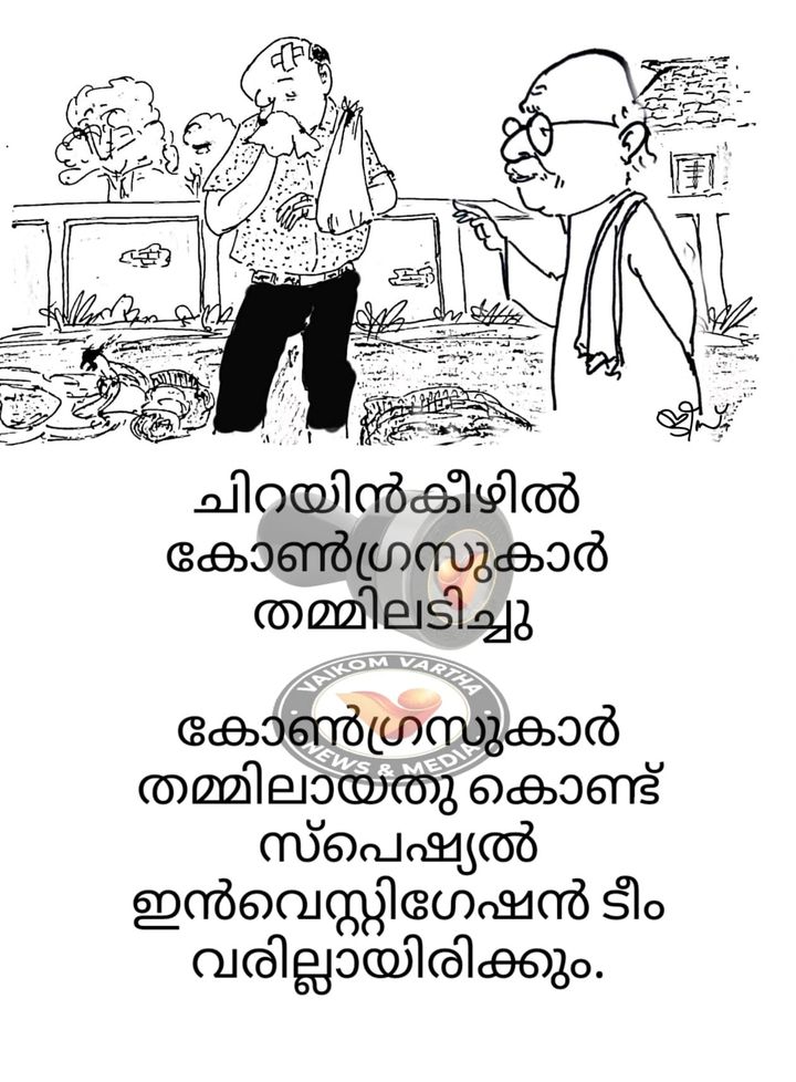 വൈക്കത്തുകാരൻ: കാർട്ടൂൺ പരമ്പര