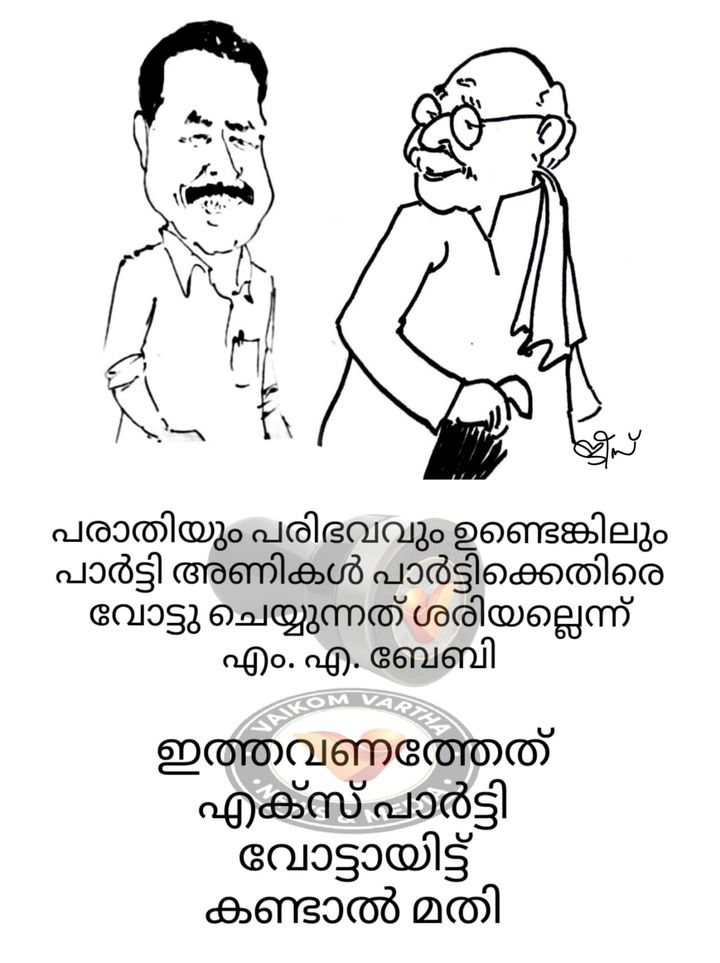 വൈക്കത്തുകാരൻ: കാർട്ടൂൺ പരമ്പര