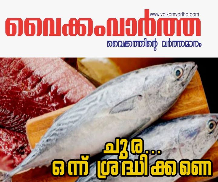 ചൂരയിൽ വിരകളെന്ന് പഠന റിപ്പോർട്ട്: ആശങ്ക വേണ്ടെന്ന് വിദഗ്ധർ