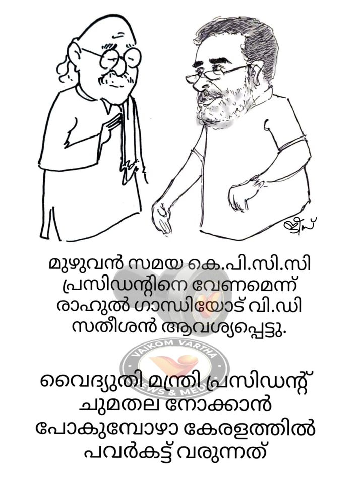 വൈക്കത്തുകാരൻ: കാർട്ടൂൺ പരമ്പര
