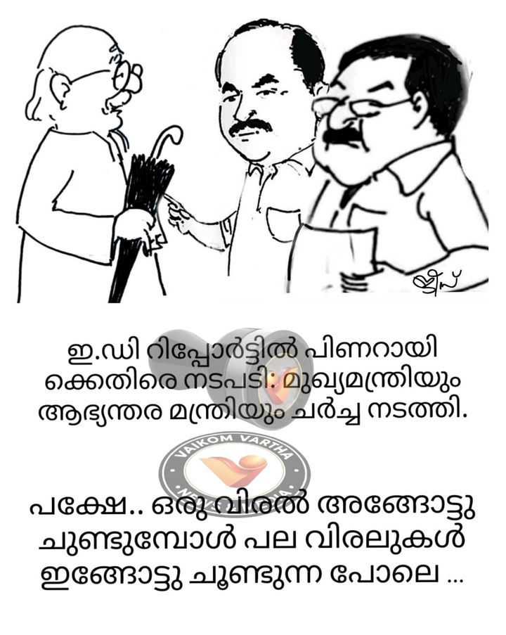 വൈക്കത്തുകാരൻ: കാർട്ടൂൺ പരമ്പര