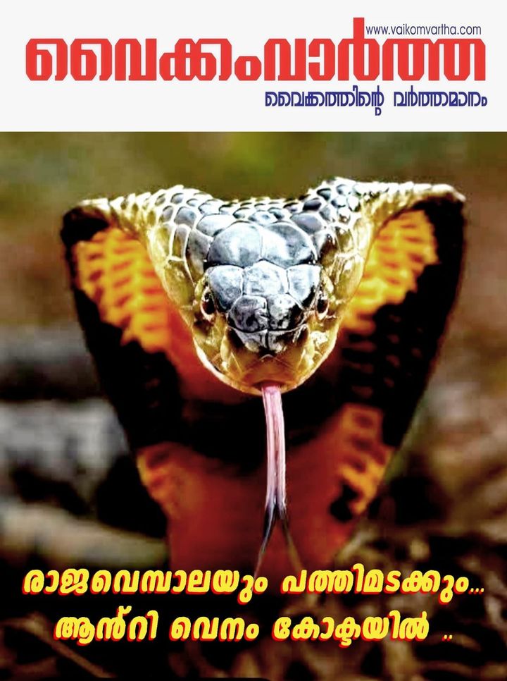 പാമ്പുകടി ചികിത്സ ഇനി കൂടുതൽ കാര്യക്ഷമം: ജീവൻ രക്ഷിക്കാൻ 'നാനോബോഡി' സാങ്കേതികവിദ്യ