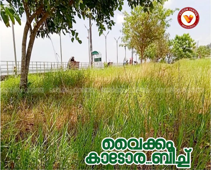 പരിപാലനമില്ലാതെ വൈക്കം ബീച്ച്: വെട്ടിത്തെളിച്ച പുൽക്കാടുകൾ വീണ്ടും വളരുന്നു, സന്ദർശകർ ആശങ്കയിൽ