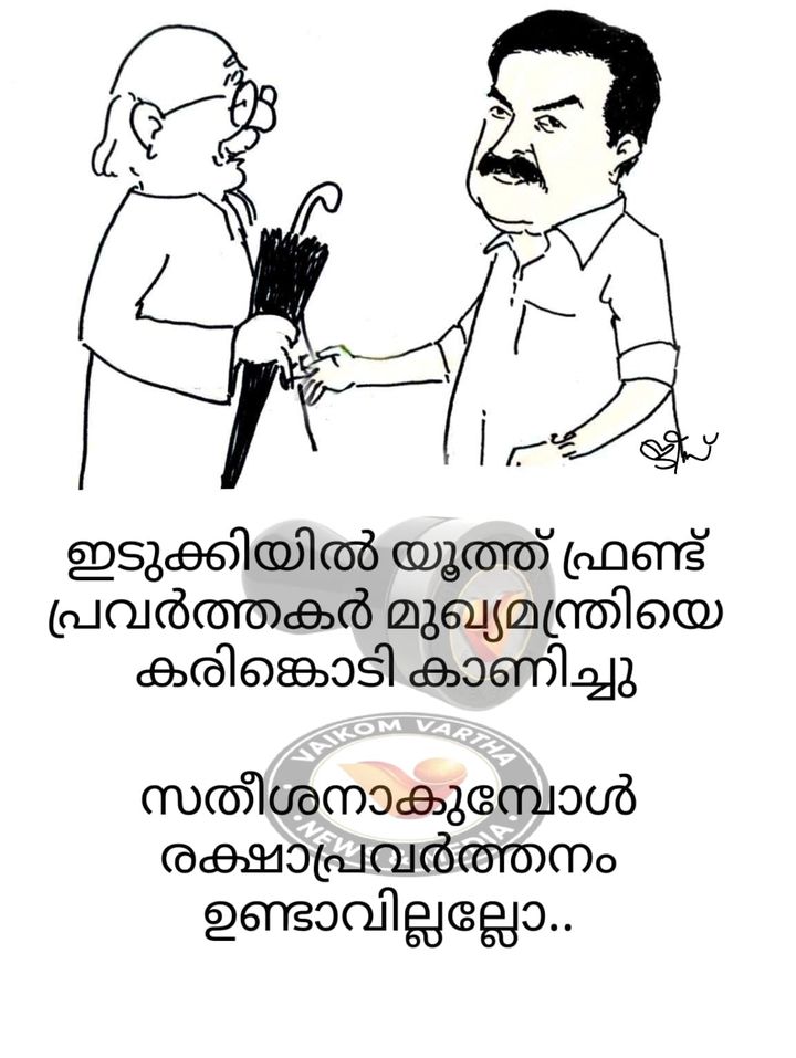 വൈക്കത്തുകാരൻ: കാർട്ടൂൺ പരമ്പര