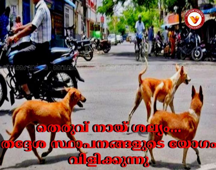 കോട്ടയം ജില്ലാ വികസന സമിതി യോഗം ചേർന്നു