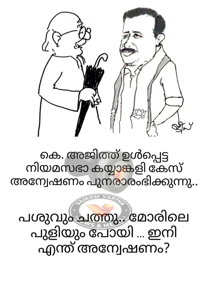 വൈക്കത്തുകാരൻ: കാർട്ടൂൺ പരമ്പര