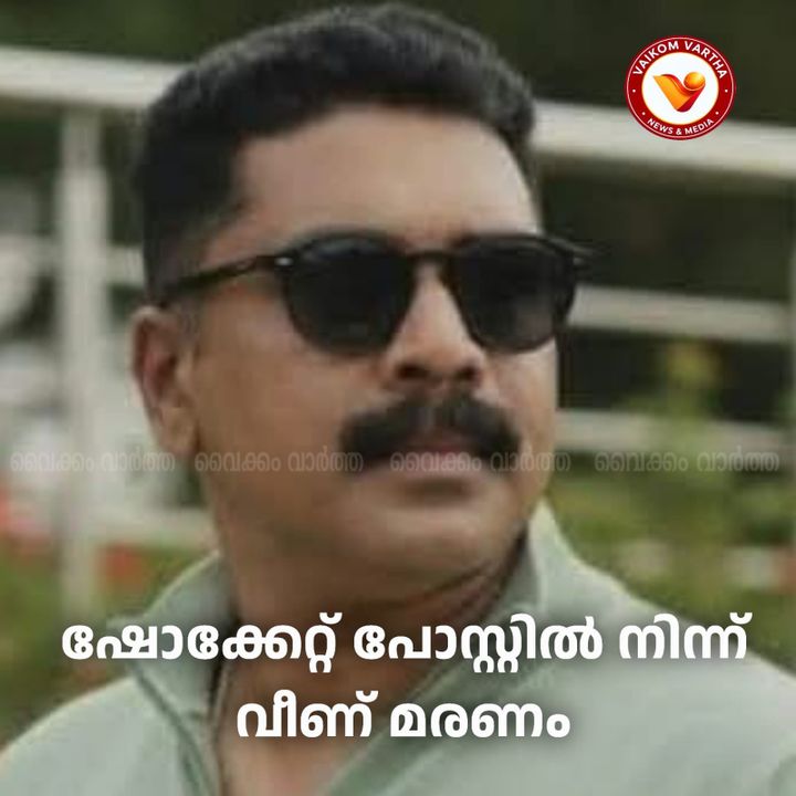വൈദ്യുതാഘാതമേറ്റ് വീണ് ലൈൻമാൻ മരിച്ചു