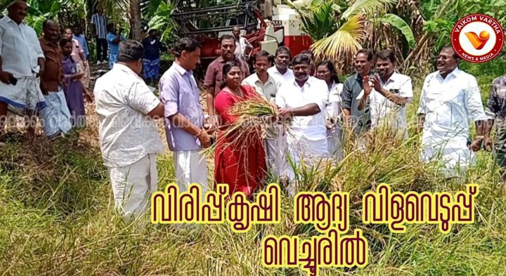 കൊയ്ത്തുയന്ത്രത്തിലേറി എം.എൽ.എ: വെച്ചൂർ അരികുപുറം പാടശേഖരത്തിൽ വിരിപ്പ് കൊയ്ത്തിന് ആവേശകരമായ തുടക്കം