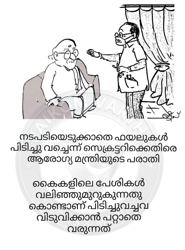 വൈക്കത്തുകാരൻ: കാർട്ടൂൺ പരമ്പര