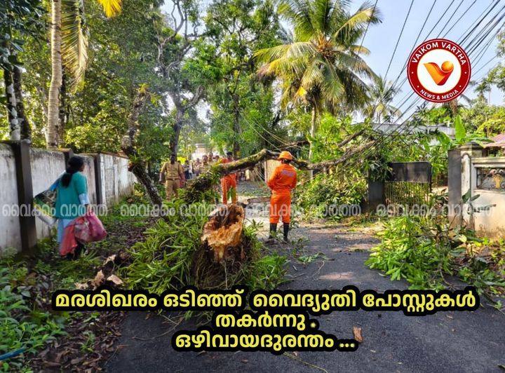 വൈക്കം ആറാട്ടുകുളങ്ങരയിൽ മരത്തിൻ്റെ ശിഖരം ഒടിഞ്ഞുവീണു; മൂന്ന് വൈദ്യുതി പോസ്റ്റുകൾ തകർന്നു