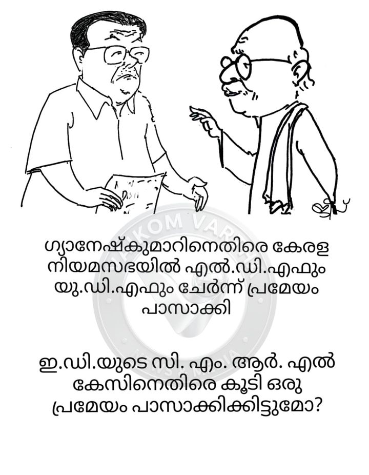 വൈക്കത്തുകാരൻ: കാർട്ടൂൺ പരമ്പര