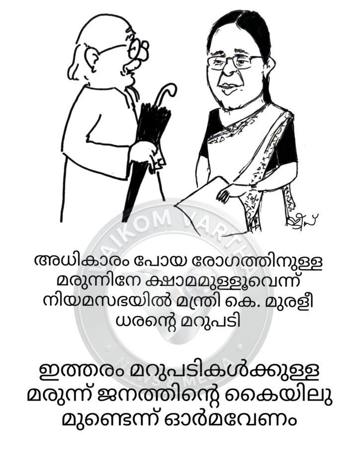 വൈക്കത്തുകാരൻ: കാർട്ടൂൺ പരമ്പര