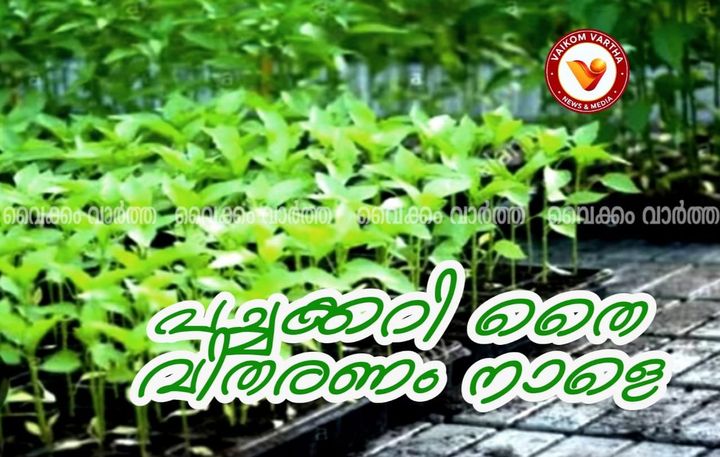 പച്ചക്കറി തൈ വിതരണം