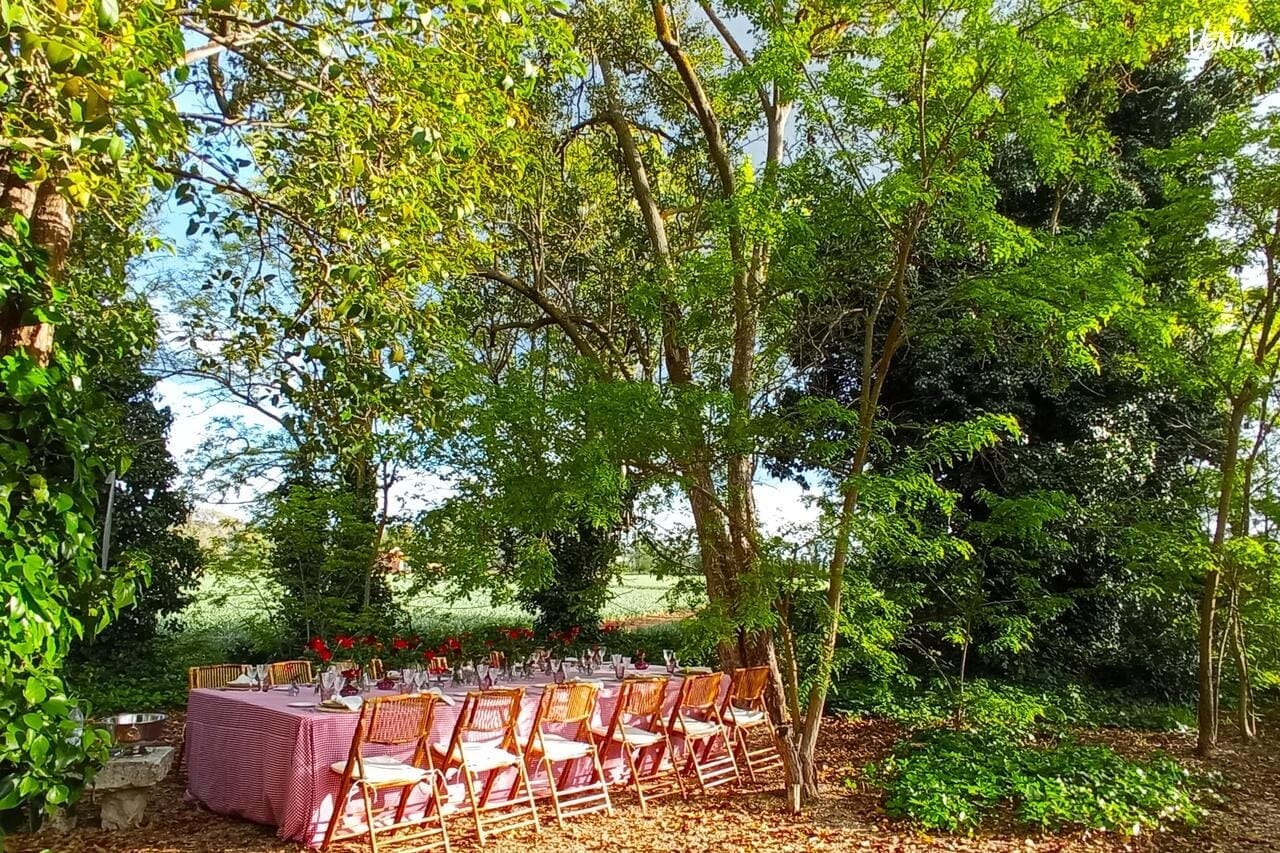 Hacienda Campo y Olivo - La Nave, una finca en Madrid donde las bodas parecen sacadas de una película romántica.