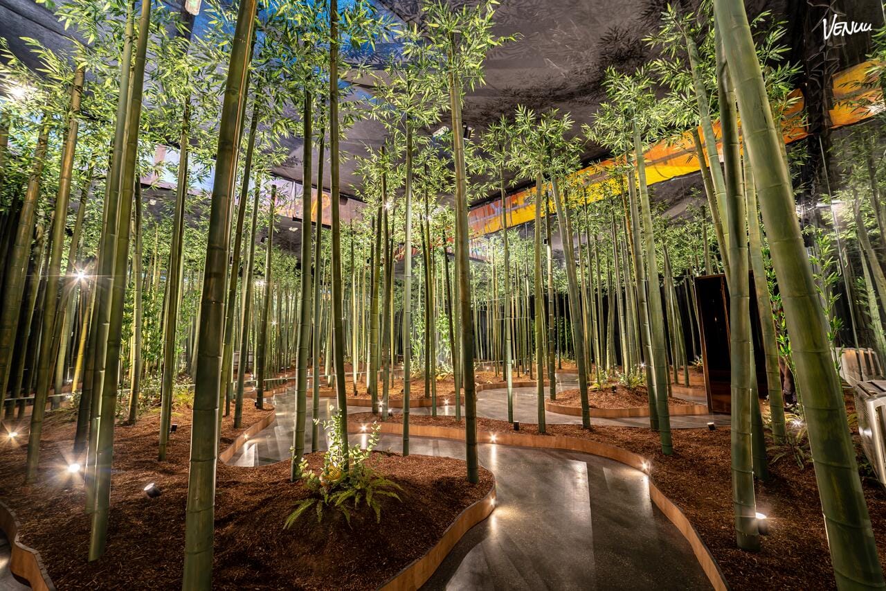 Ikono Madrid, un espacio en Madrid donde los eventos son una explosión de creatividad y arte.