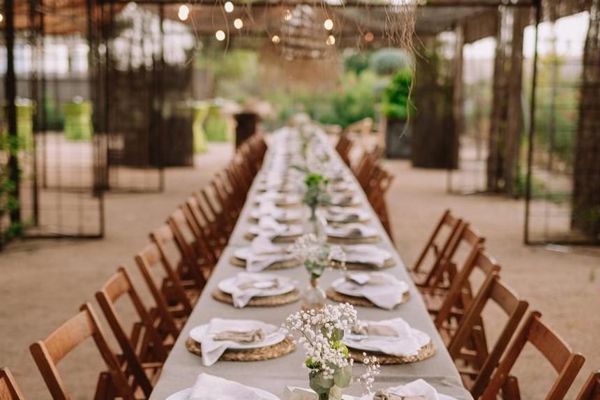 Finca Valaurea, olivos y vistas para celebraciones de otro nivel.