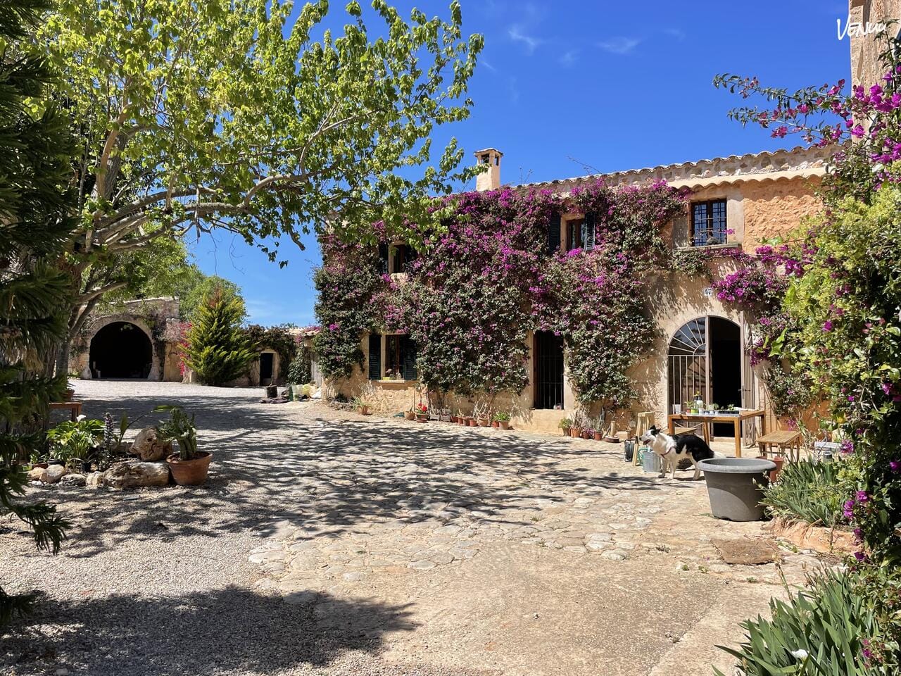 Can Alegria, agroturismo rústico chic en plena naturaleza mallorquina para despedidas relajadas y únicas.