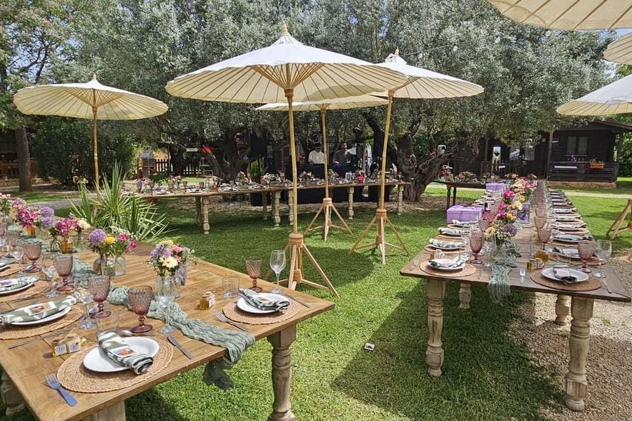 Entre Viejos Olivos en Benicolet, jardín con olivos centenarios, cascada y piscina.