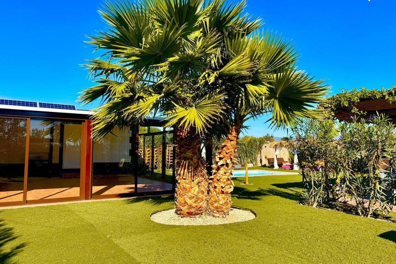 Villa Loja II en Mutxamel con jardín tropical, piscina y barbacoa para cumpleaños al aire libre.