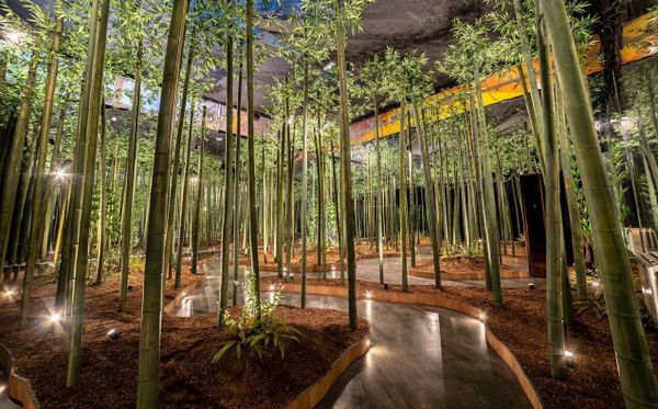 Los 15 mejores salones en Madrid para eventos y fiestas