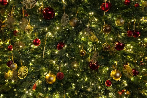 Tendencias en celebraciones navideñas este año: así celebra España la Navidad en 2026