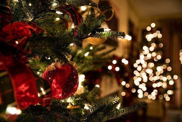 Se acerca la Navidad: tendencias e ideas para celebrar este año