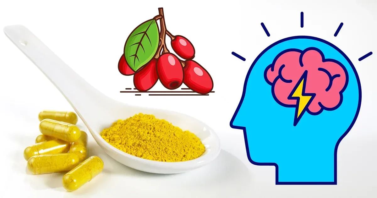 فوائد البربرين لحماية الأعصاب