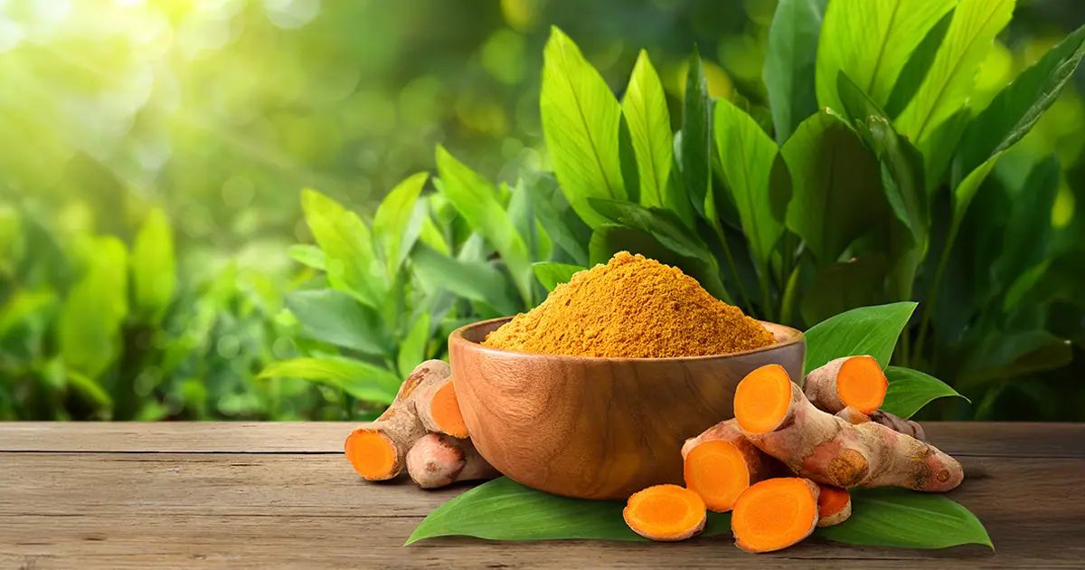 الكركمين يساعد يقلل ضرر العضلات والالتهاب بعد التمرين
