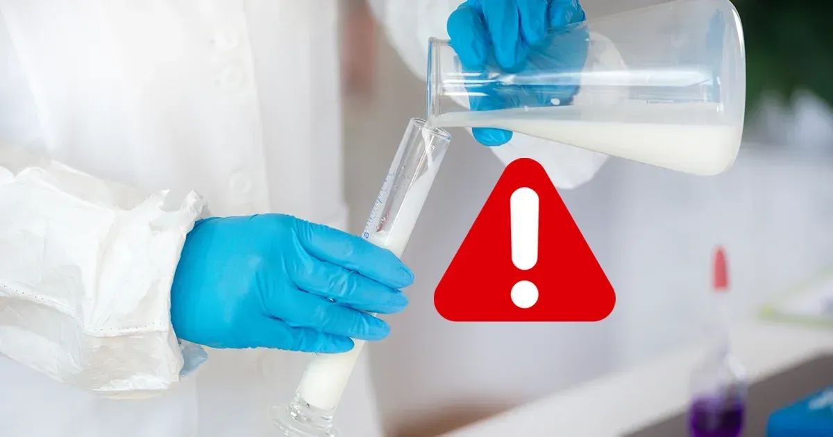 الحليب المزروع فالمختبر ينجهّزون له للإنتاج الجماعي بسرع