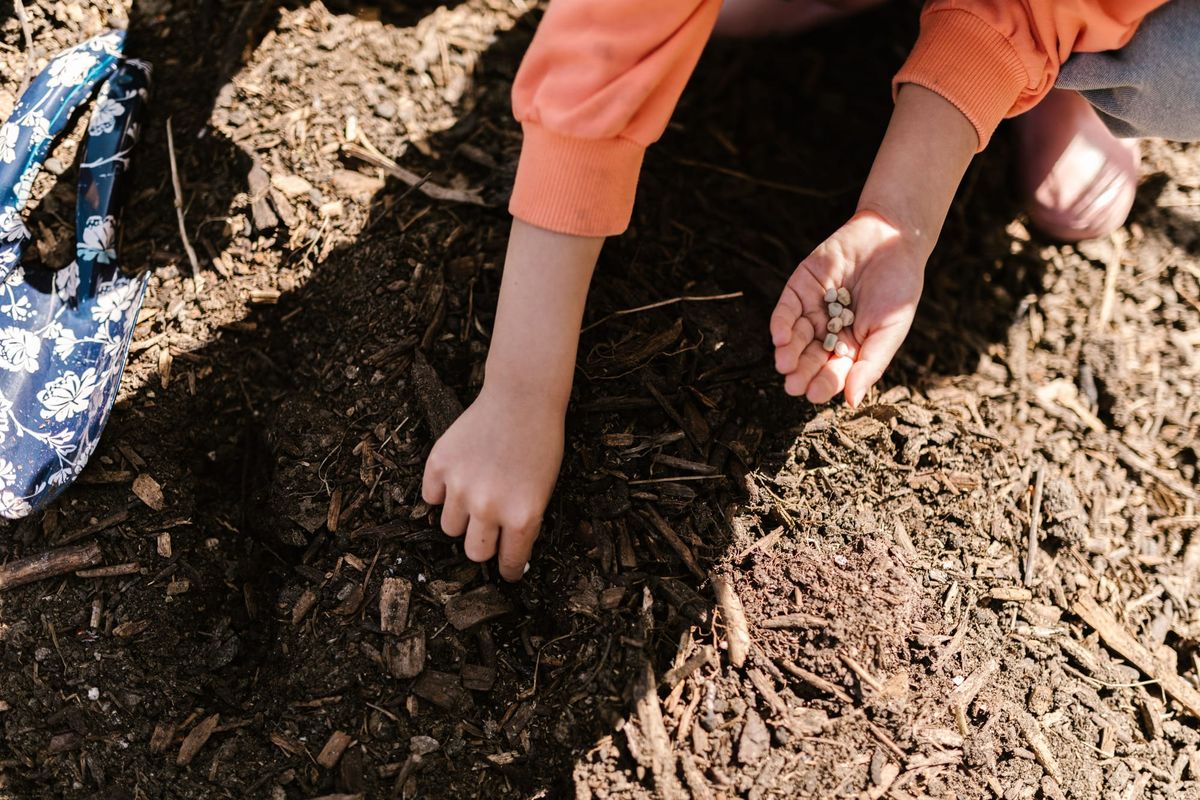 Taking Root