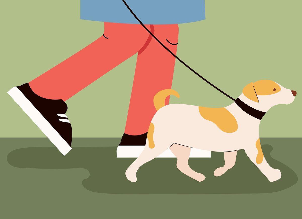 “Cloud Pet Inhaling”