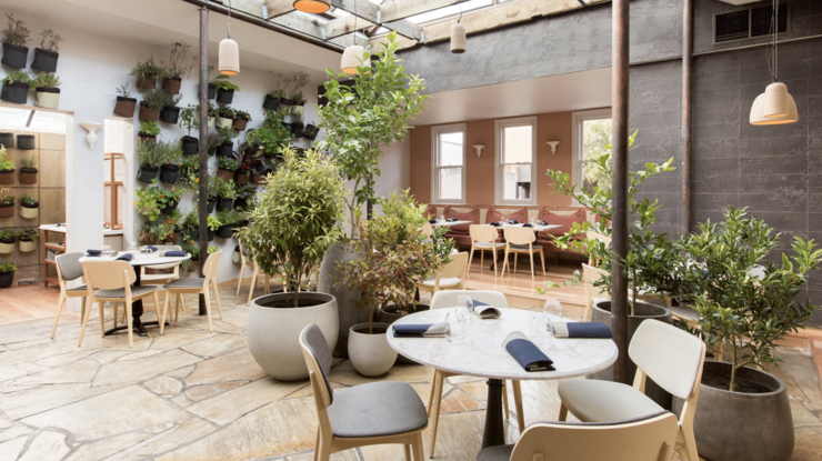 The LUME interior. Boring pale wood tone tables and chairs, with pot plants.