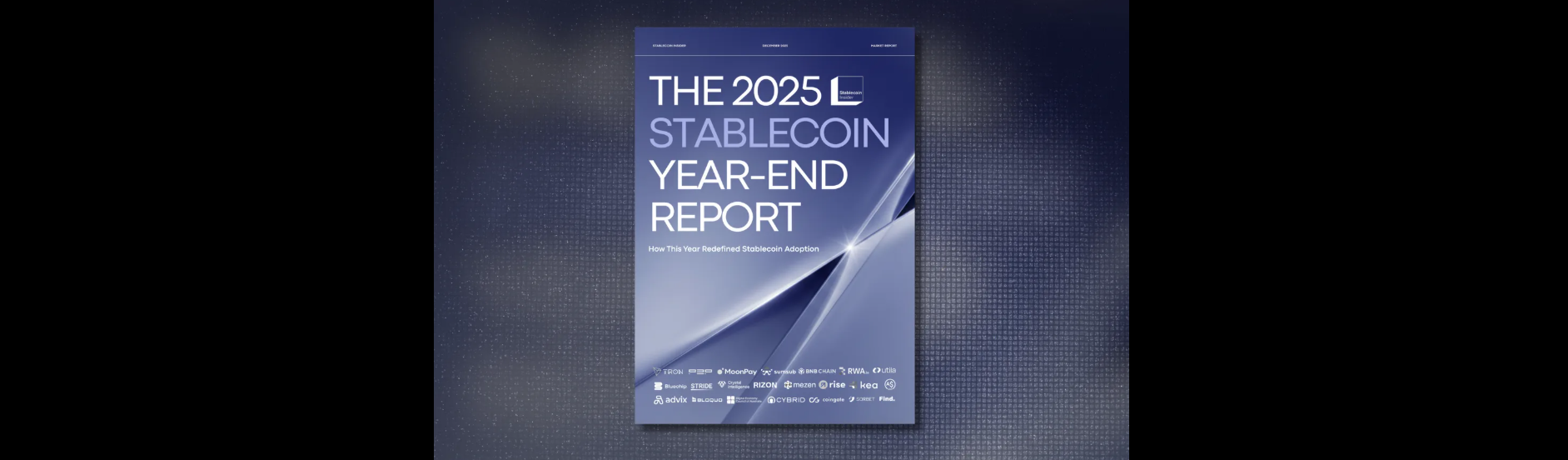 2025 Stablecoin Report