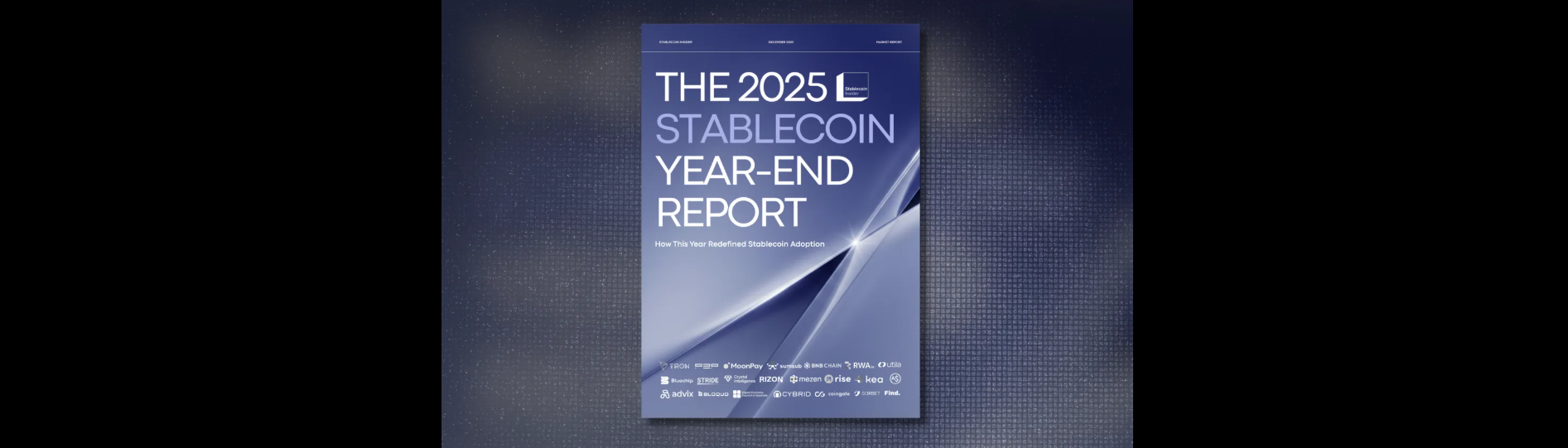 Download Our 2025 Year-End Stablecoin Report