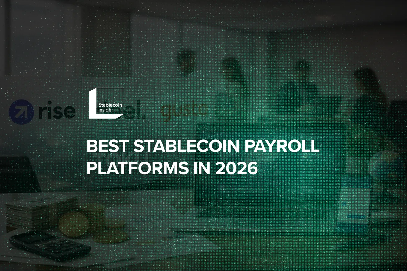 Stablecoin Payroll Platforms