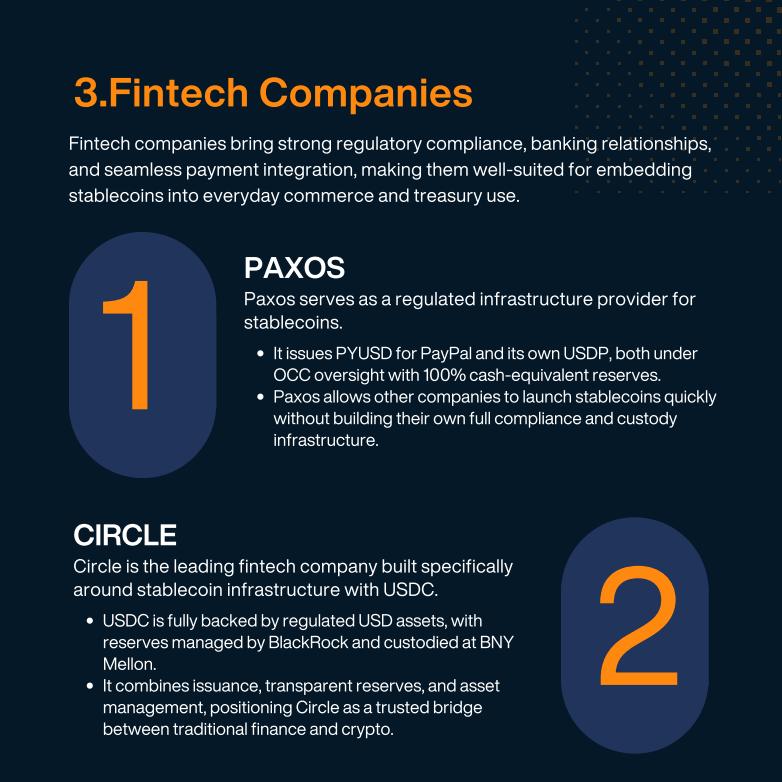 Stablecoin Issuance Report