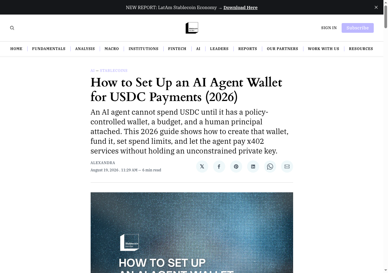How to Set Up an AI Agent Wallet