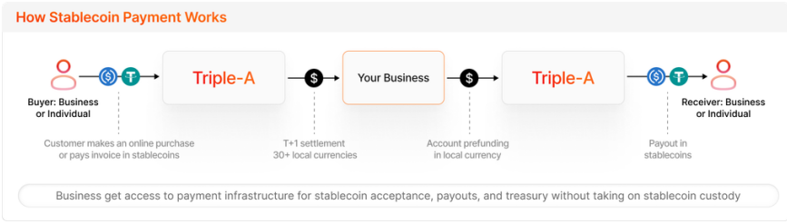Who Is Building APAC’s Stablecoin Economy
