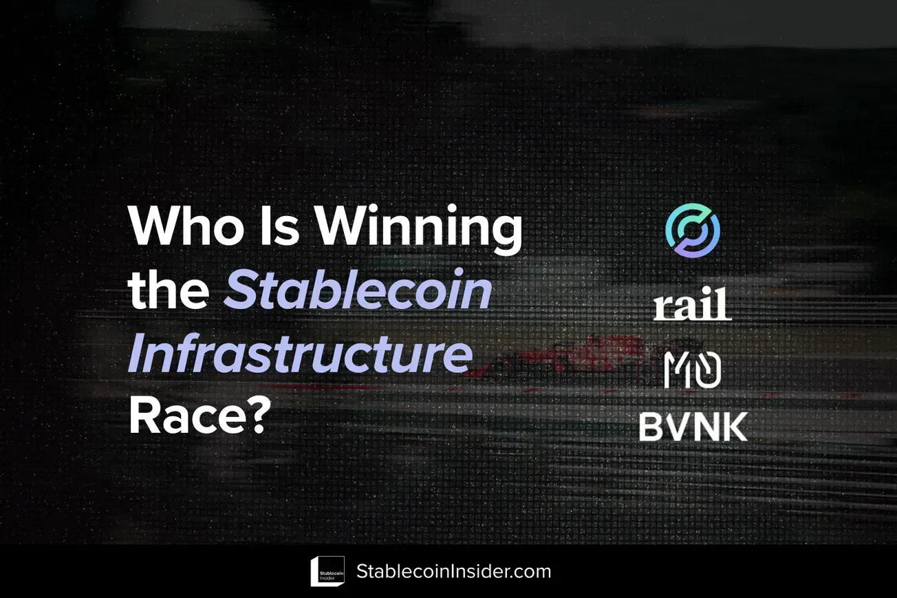 Stablecoin Infrastructure