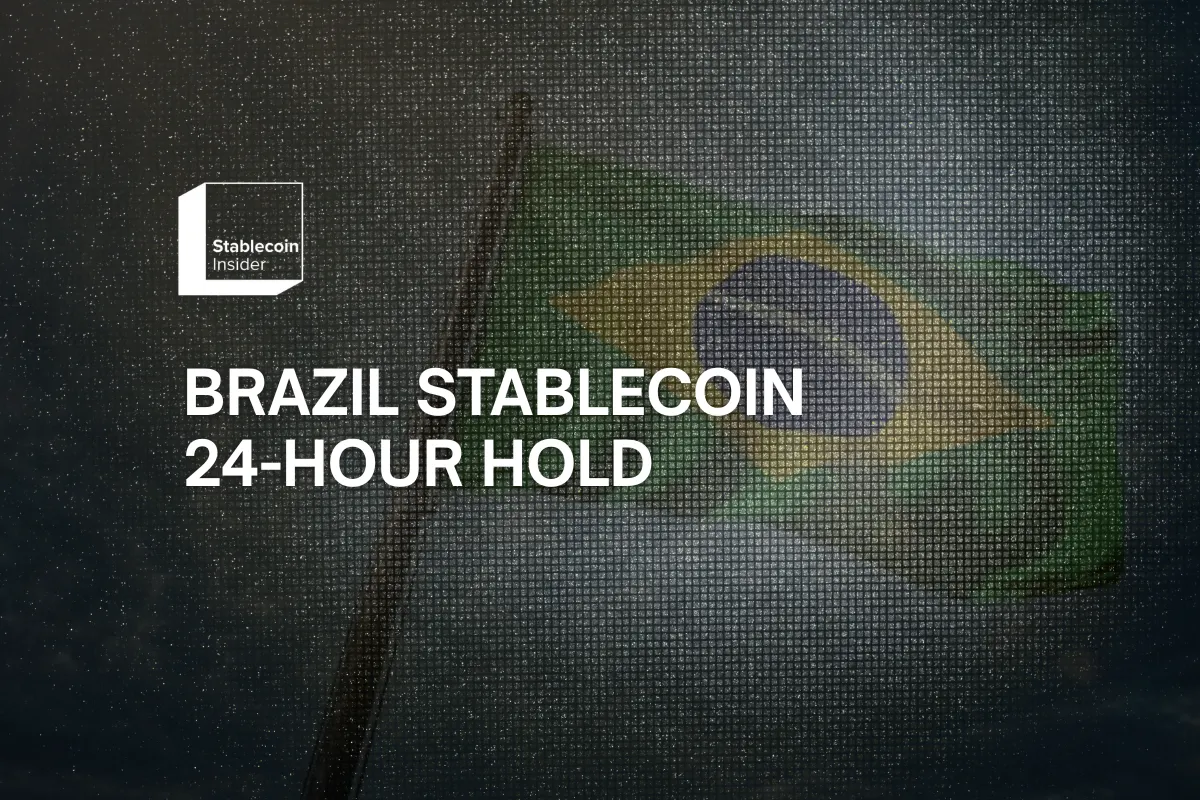 Brazil Stablecoin 24-Hour Hold 