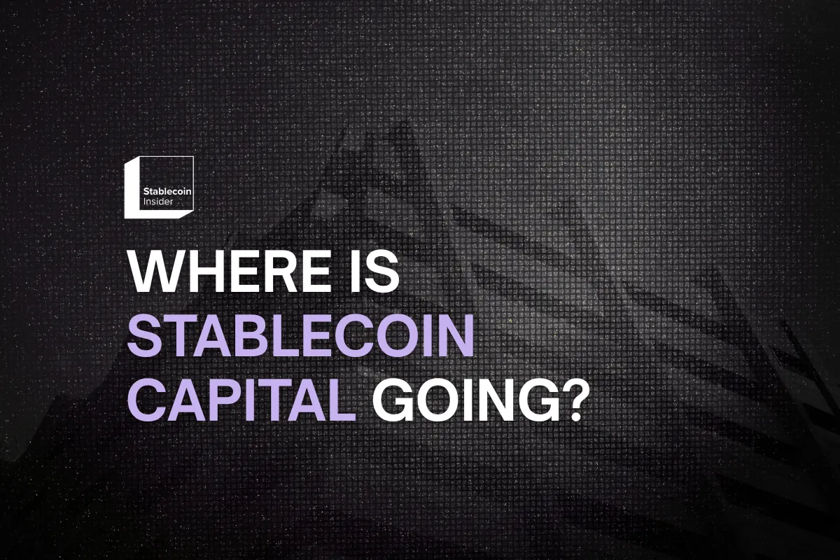 Where is Stablecoin Capital Going? 