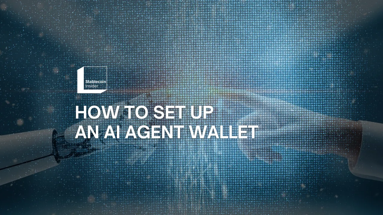 How to Set Up an AI Agent Wallet for USDC Payments