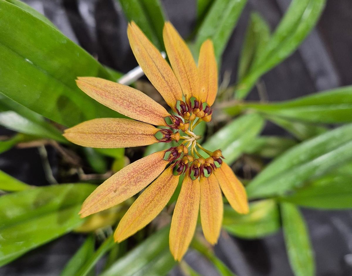 Exhibitor Information and Schedule