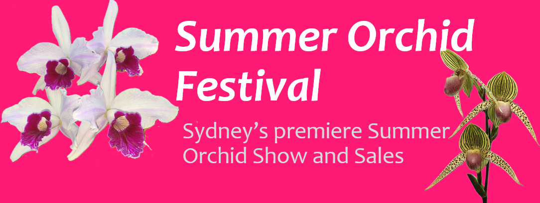 About Summer Orchid Festival