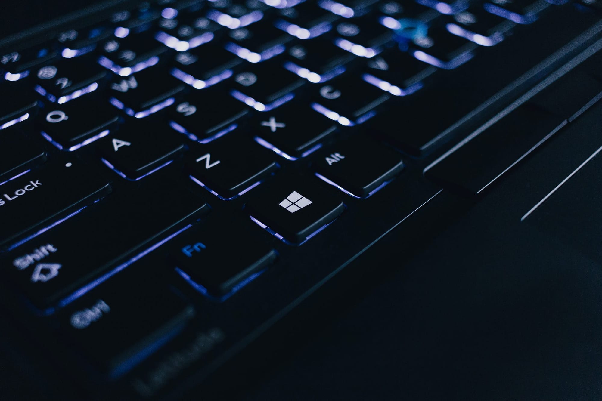 image from&nbsp;unsplash