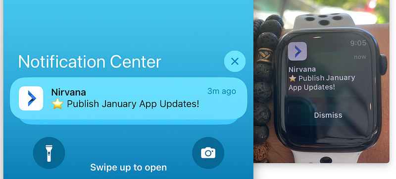 A Reminder Notification (shown on an iOS lock screen and Apple&nbsp;Watch)