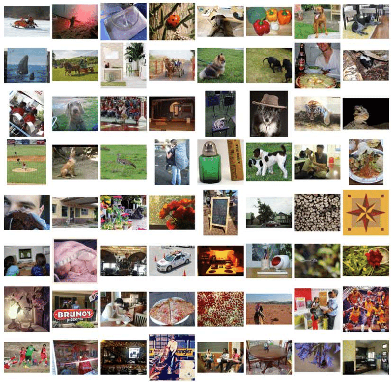 ImageNet dataset example