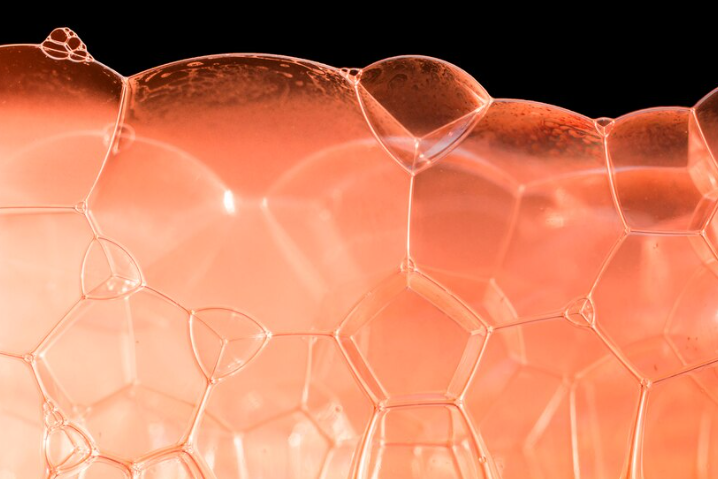 [의료] 스마트폰 사진을 통한 암 진단AI : 피부암 초기 대응 건수 12.3% 증가