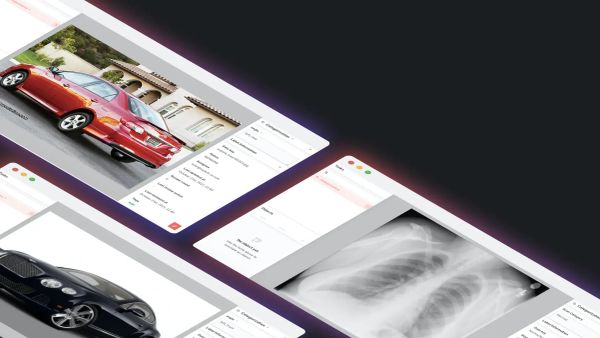 Suite 오토라벨링으로 이미지 분류용 AI 모델 학습시키기