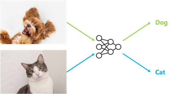 일상 속에서 활용되는 이미지 분류 기술